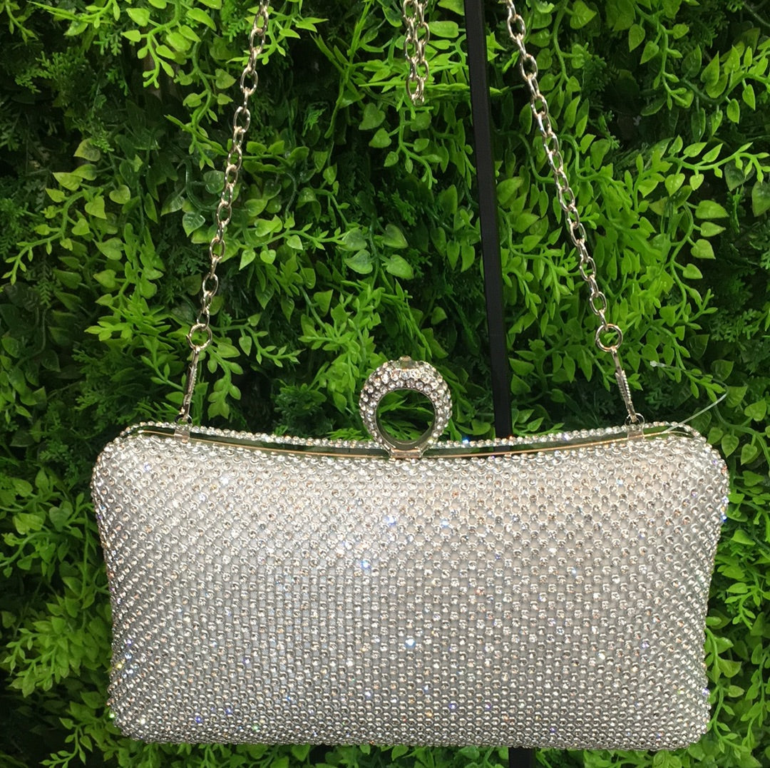 Silver sparkling purse