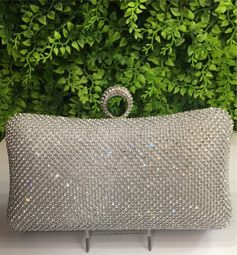 Silver sparkling purse