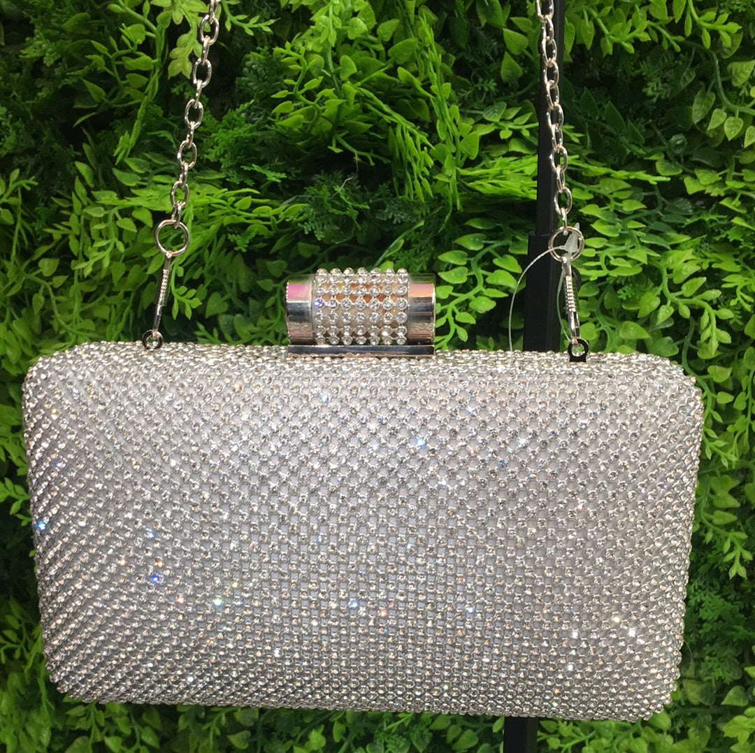 Silver Fantasy purse