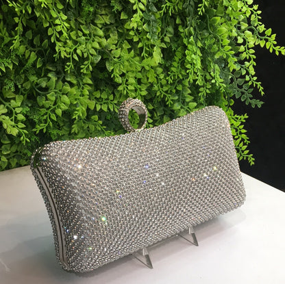 Silver sparkling purse