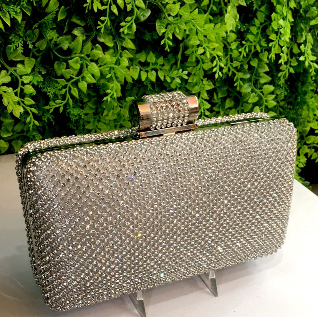 Silver Fantasy purse