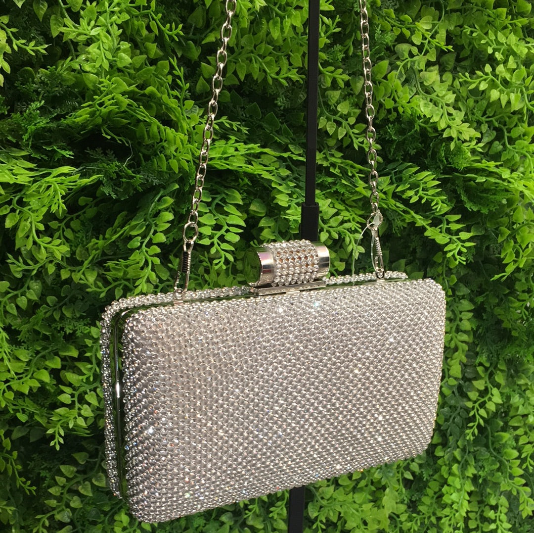 Silver Fantasy purse