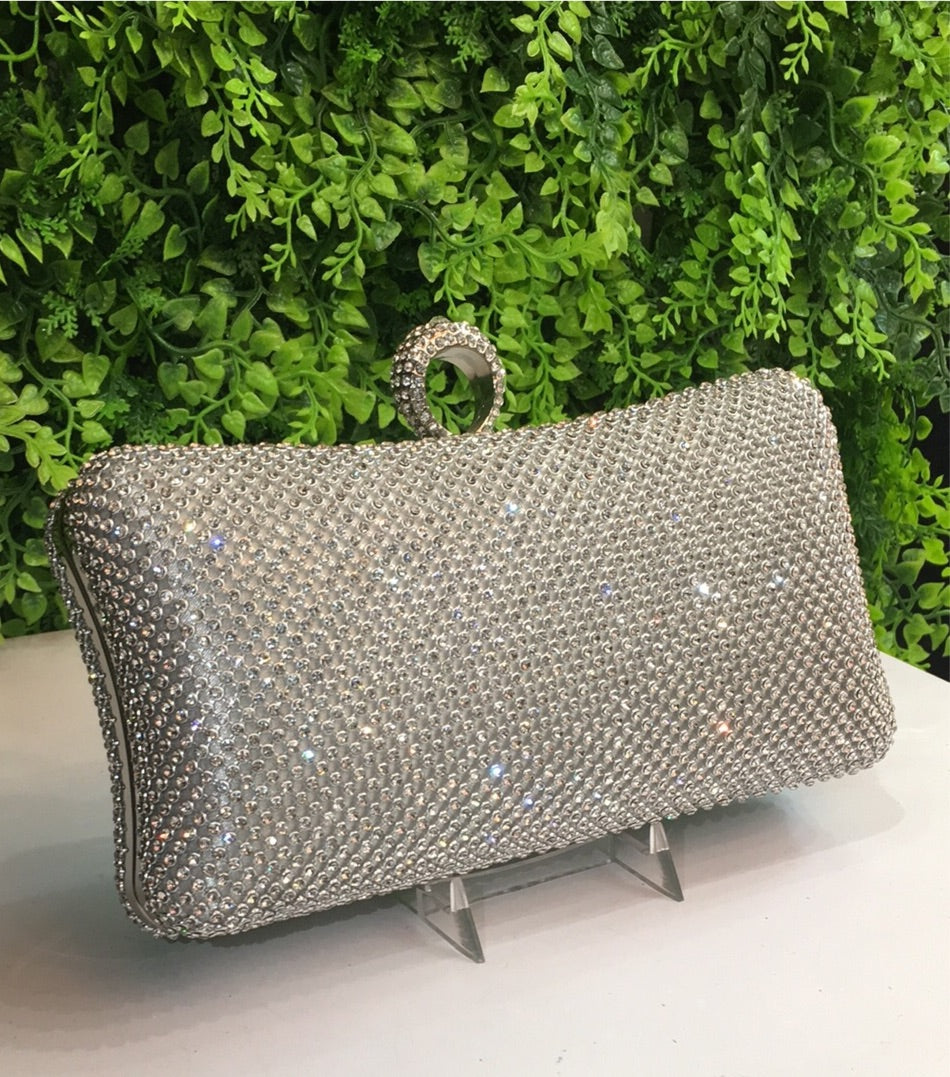 Silver sparkling purse