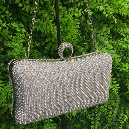 Silver sparkling purse